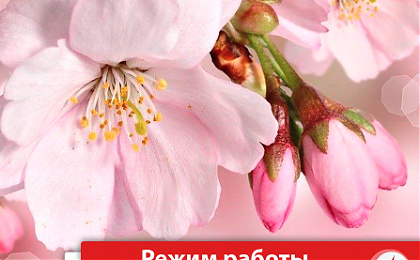 Режим работы в майские праздники!